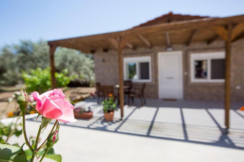 Serenity Studio Beach Home Afantou Exterior foto